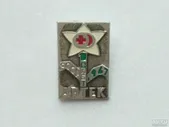 Значок Артек 1 Слет Активистов Школьных Санпостов СССР 1967