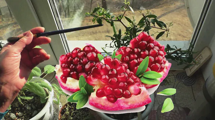 Зеленая аптека на подоконнике. Лекарственные растения дома